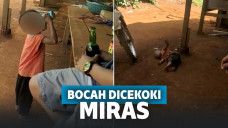 Bocah dicekoki miras