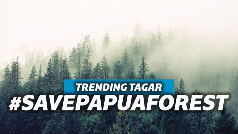Tagar #SavePapuaForest