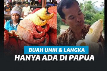 Img-papua.jpg