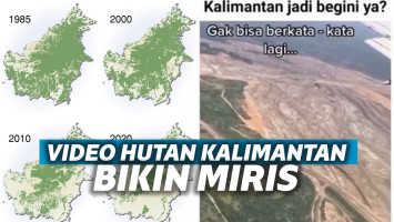 Kondisi hutan Kalimantan