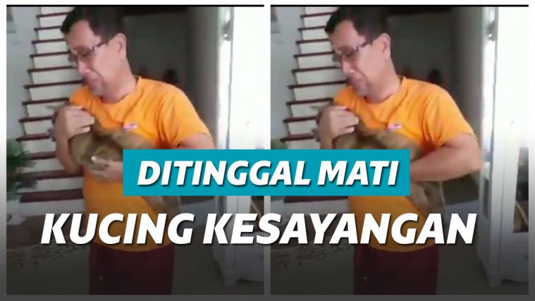 Pria ini menangis karena ditinggal mati kucing kesayangan