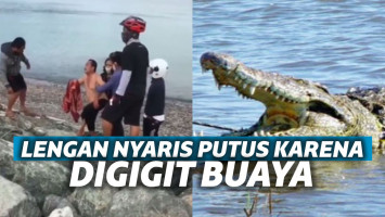 Korban gigitan buaya di Palu