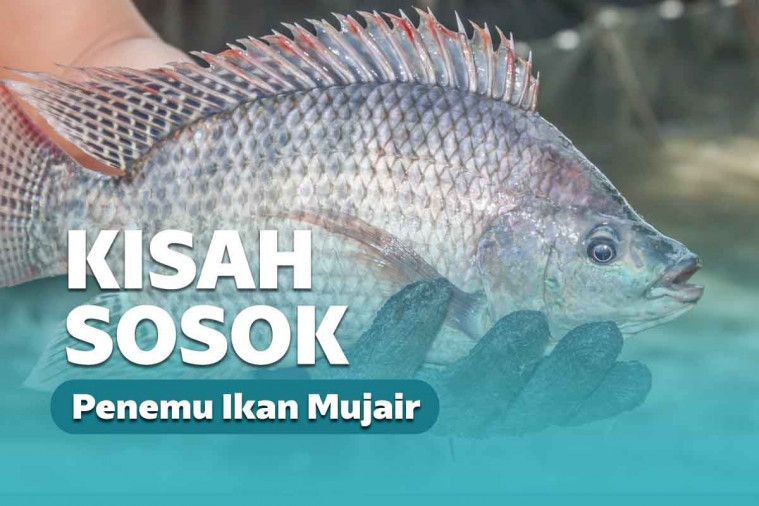 Kisah Mbah Moedjair, Sosok Dibalik Penemu Ikan Mujair
