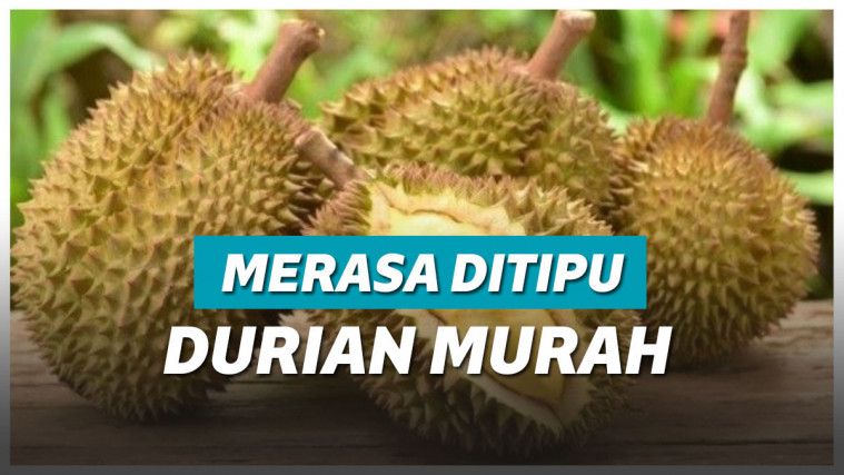 Ilustrasi durian