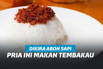 Nasi abon