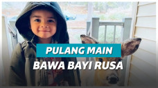 Balita bawa anak rusa saat pulang main