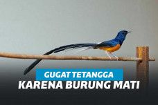 Ilustrasi : pengadilan