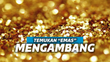 Ambergris, muntahan paus