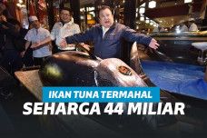 Pemilik rantai restoran sushi Jepang, Kiyoshi Kimura menunjukan tuna sirip biru di restoran utamanya di Tokyo, Jepang