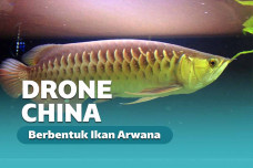 Cina Buat Drone Bawah Air Super Realistik Mirip Ikan Arwana!
