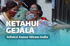Infeksi Jamur Hitam dari India Masuk Indonesia