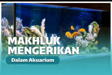 Ilustrasi Akuarium
