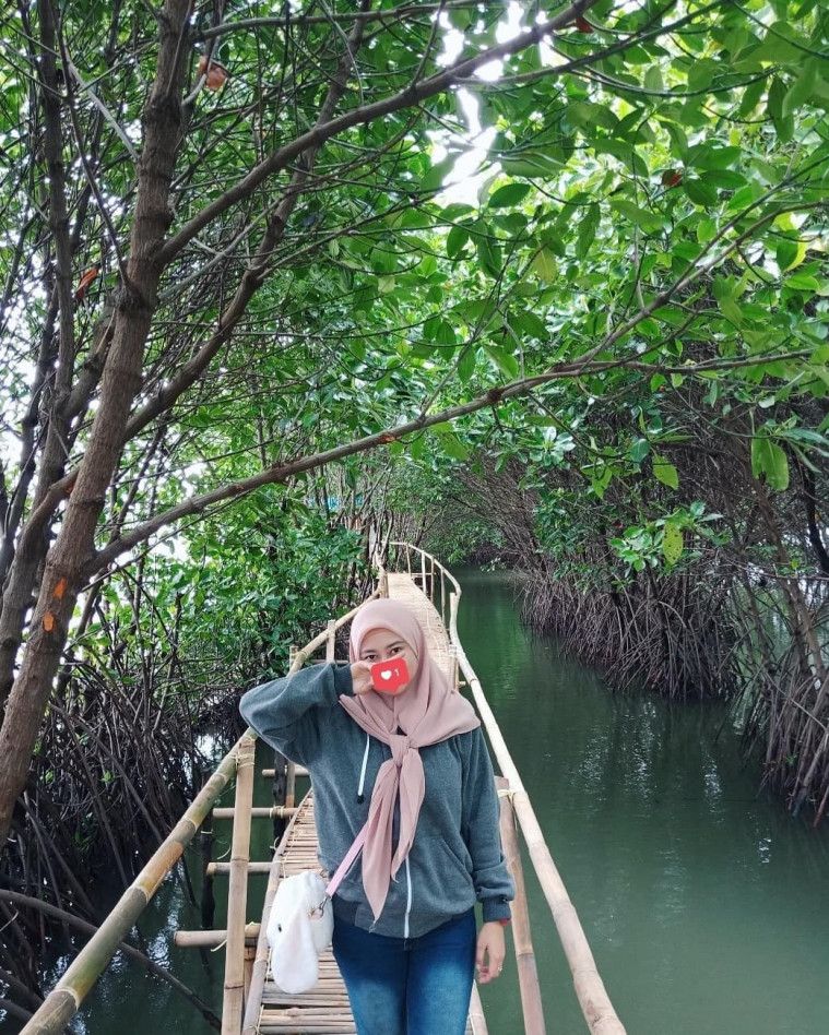10 Wisata Mangrove Paling Memukau Di Tanah Air
