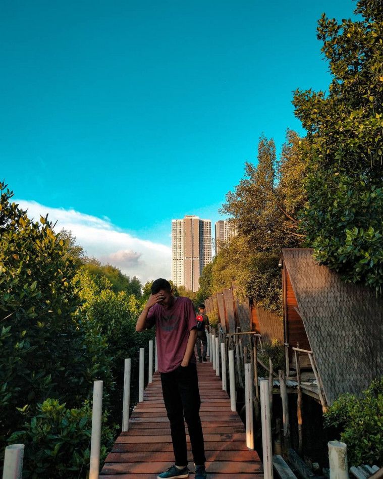 10 Wisata Mangrove Paling Memukau Di Tanah Air