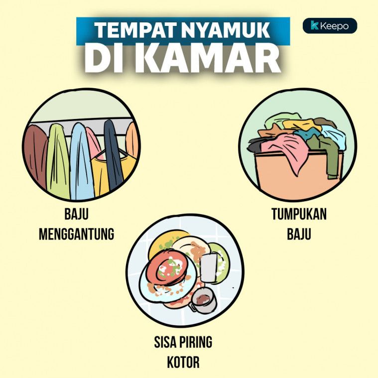 Nyamuk Demam Berdarah