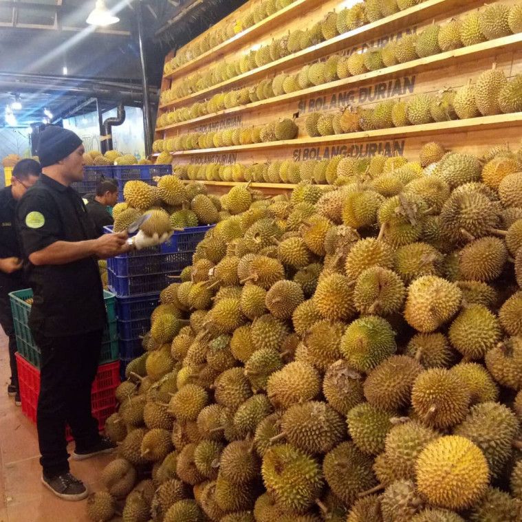 wisata di Medan durian si bolang