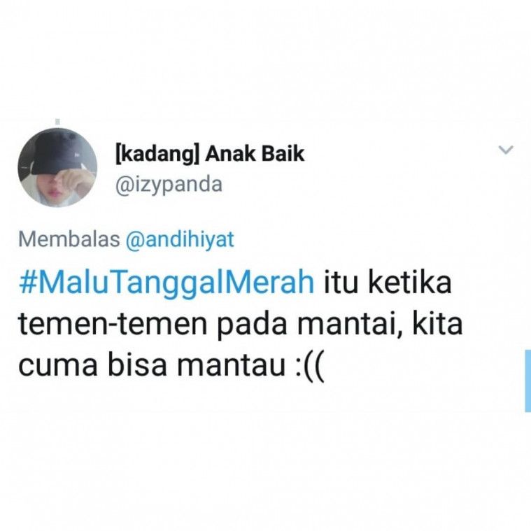 cuitan kocak