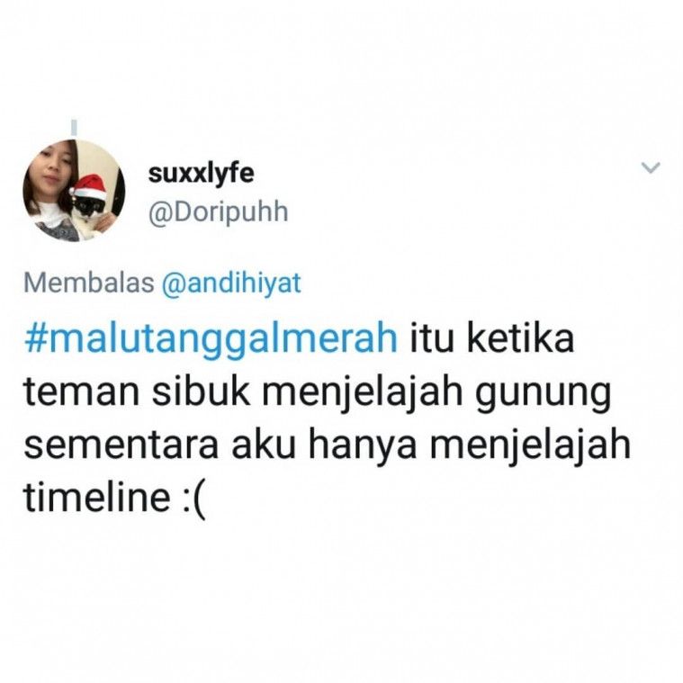 cuitan kocak