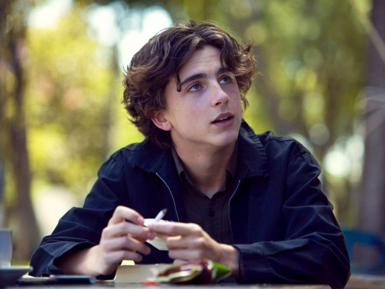Timothée Chalamet facts