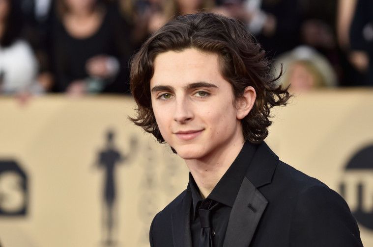 Timothée Chalamet facts