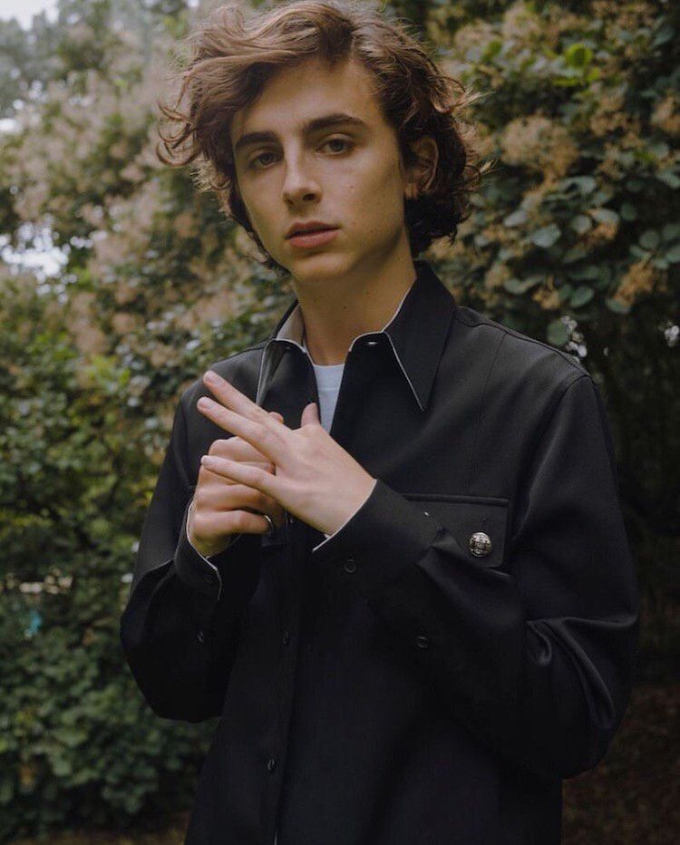 Timothée Chalamet facts