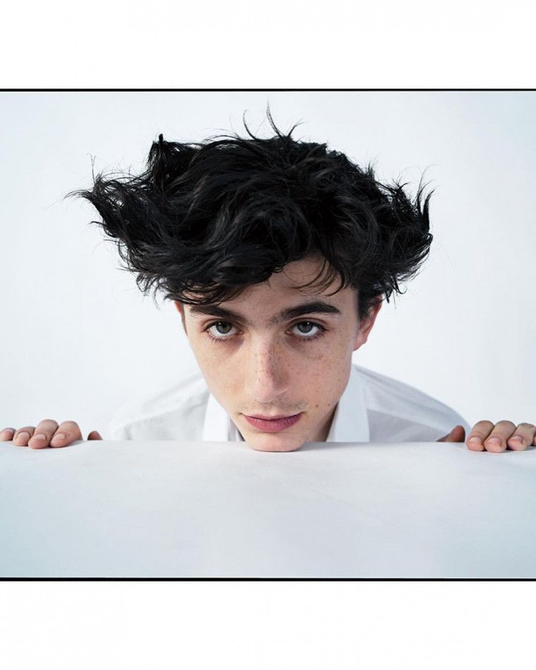 Timothée Chalamet facts