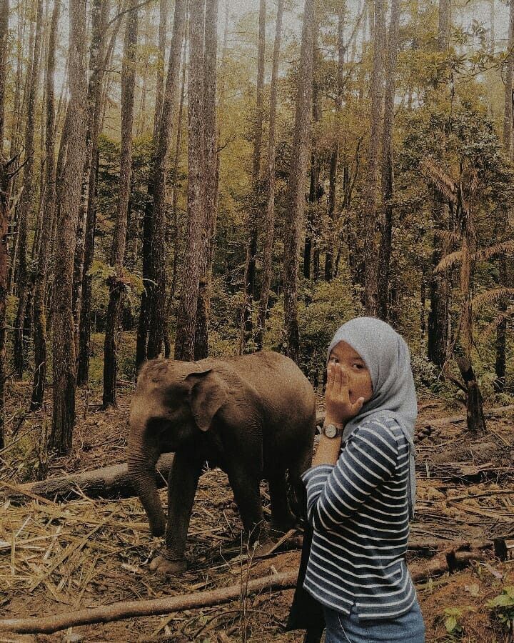 wisata danau toba