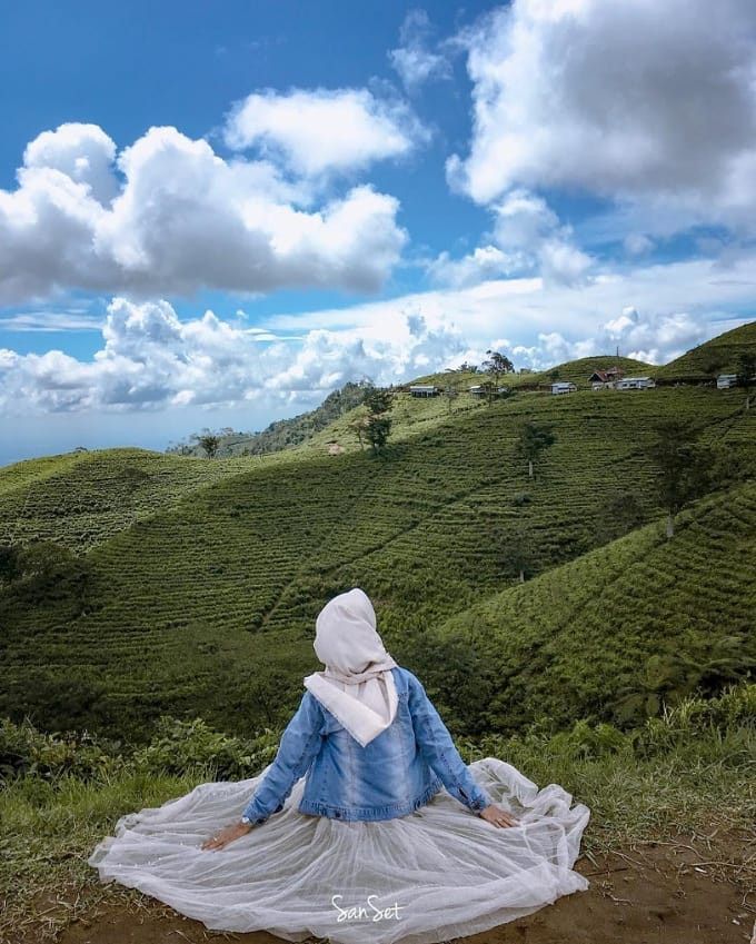 Wisata Karanganyar kebun teh kemuning