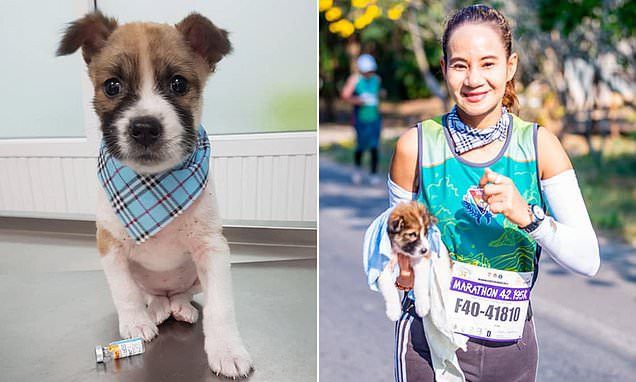 Anak anjing dan Khemjira Klongsanun.