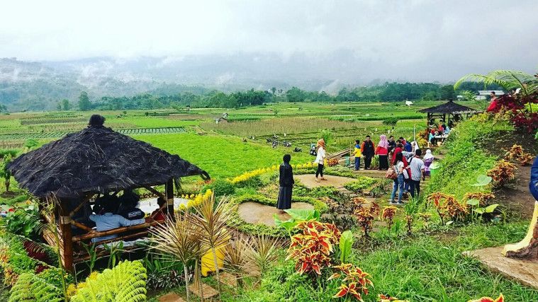 desa-wisata