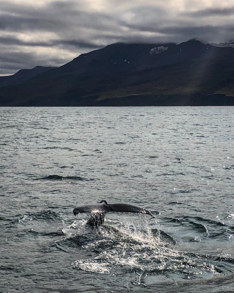honeymoon to iceland
