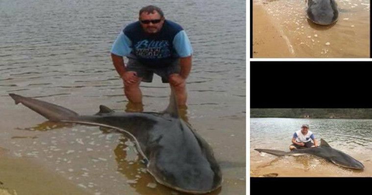 Inilah 4 Jenis Ikan Paling Berbahaya di Sungai Amaz