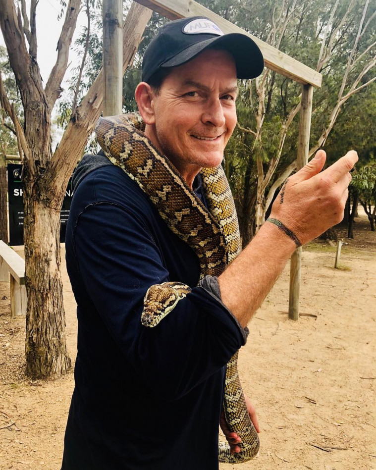 Artis dunia hobi berjudi
