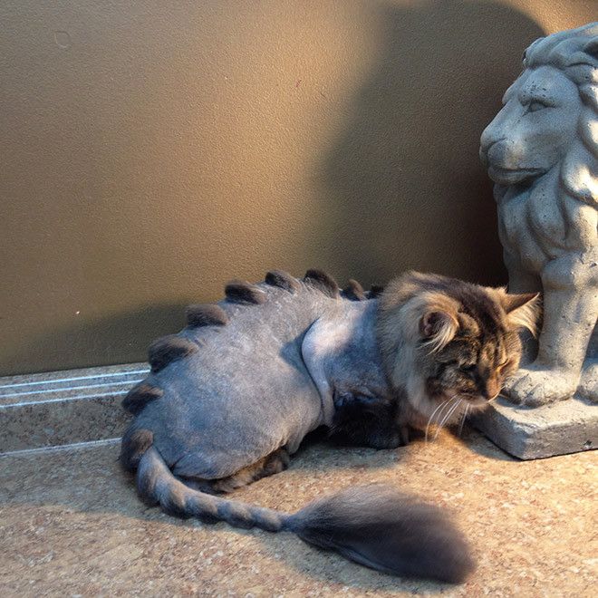 Kucing bergaya dinosaurus