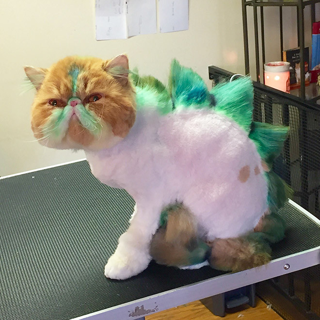 Kucing bergaya dinosaurus
