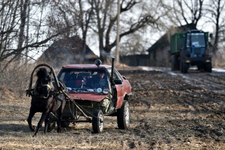 Horse Mobile