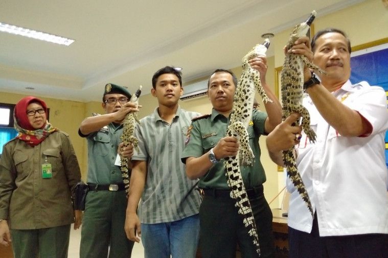 Hewan-hewan dilindungi dijual bebas