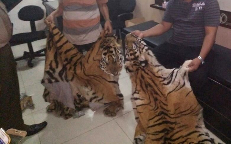 Hewan-hewan dilindungi dijual bebas