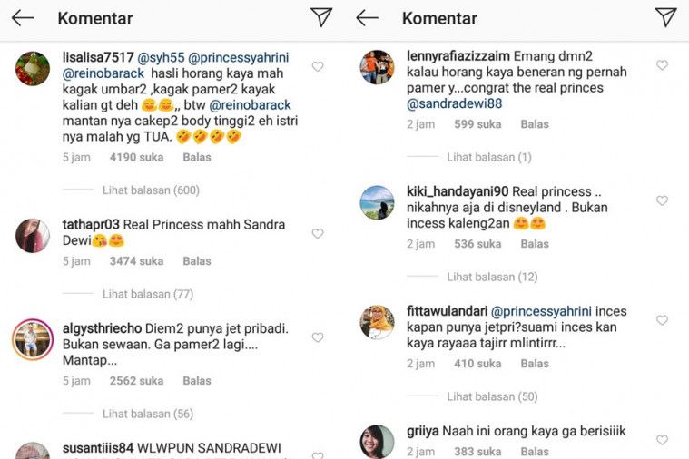 jet pribadi sandra dewi