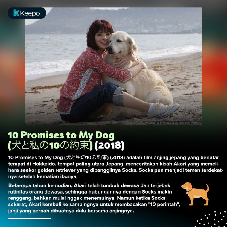 6 Film  Anjing  Jepang Mengharu Biru  Wajib Ditonton Dog Lovers