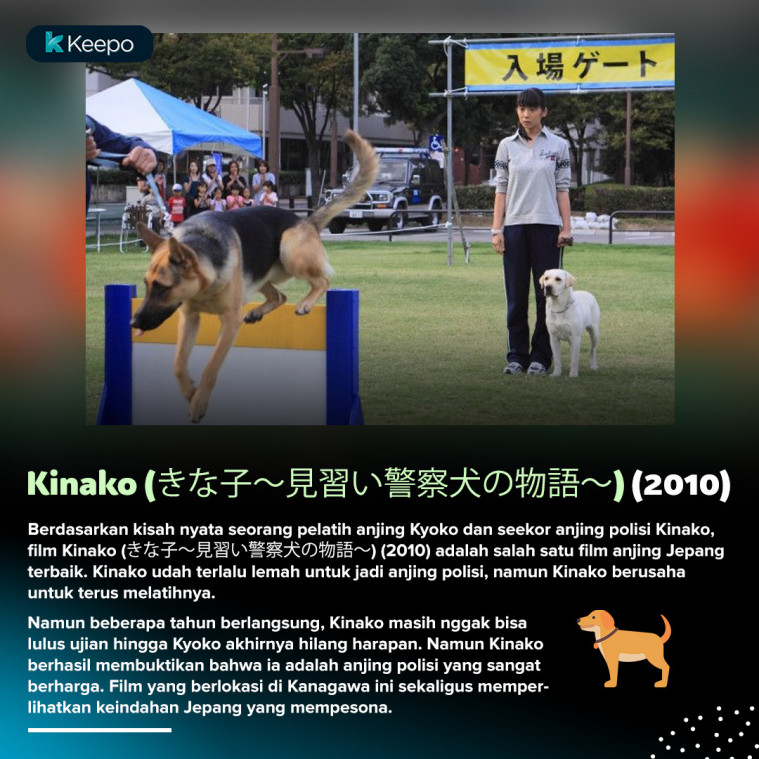 6 Film  Anjing  Jepang Mengharu Biru Wajib Ditonton Dog Lovers