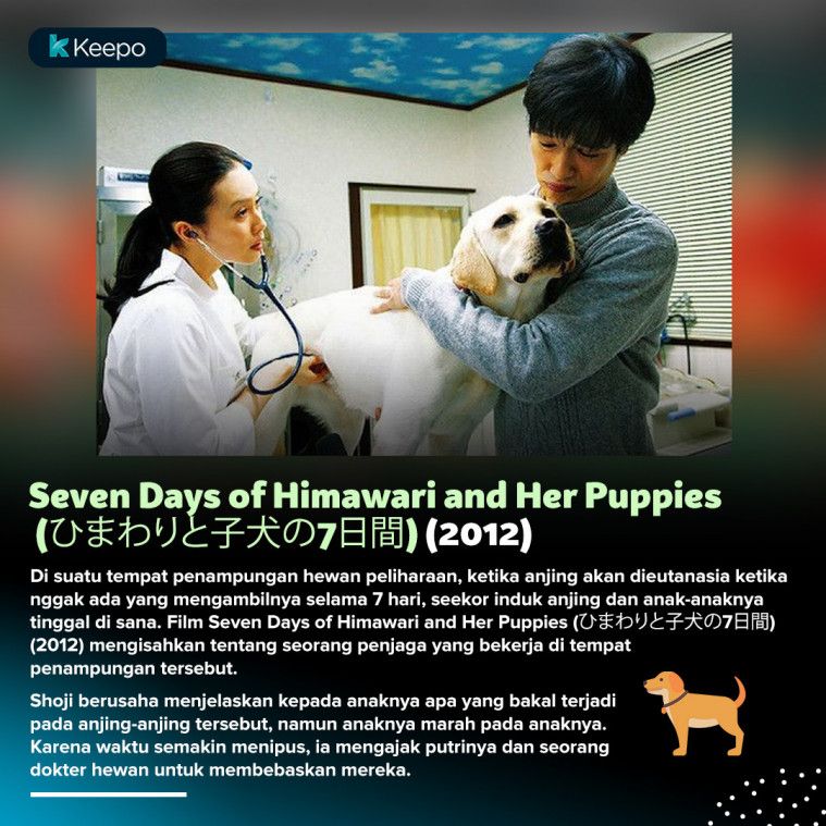 6 Film  Anjing  Jepang Mengharu Biru  Wajib Ditonton Dog Lovers