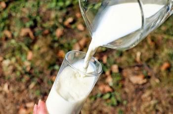 turis pria habiskan 2,5 liter susu di bandara
