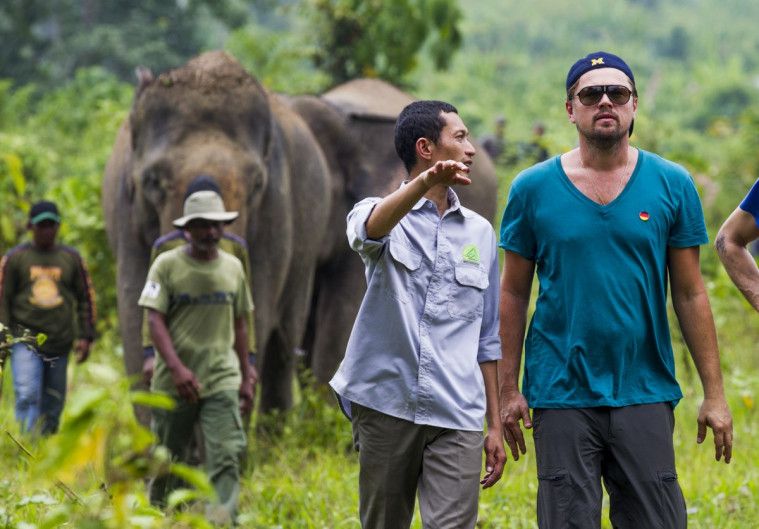 Leonardo DiCaprio