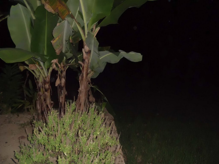 9 Fakta Menarik tentang Pocong, Hantu Tersukses di Indonesia!
