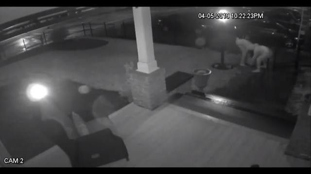 Ilustrasi patung singa