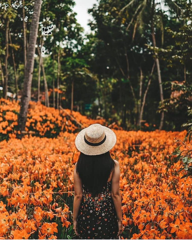 tips merencanakan traveling