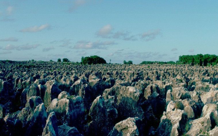 fakta negara nauru