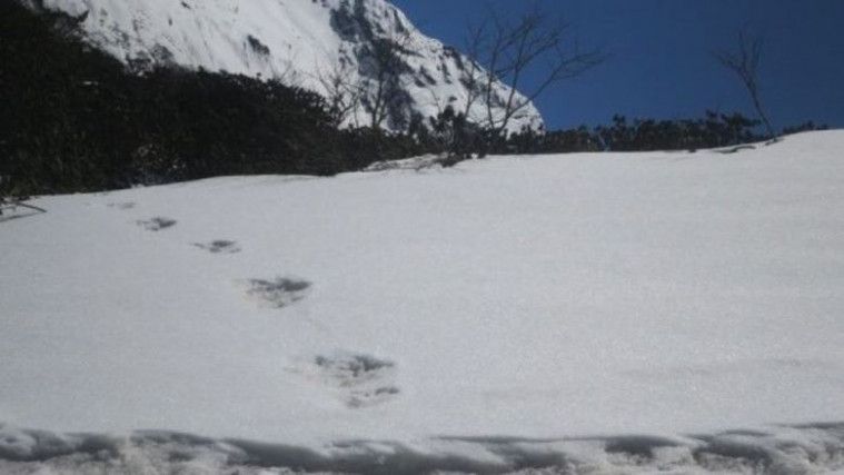 Jejak Kaki Raksasa Ditemukan di Himalaya, Diduga Milik 