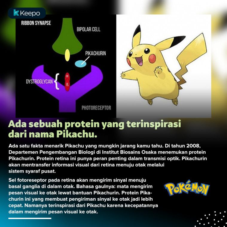 fakta menarik pikachu